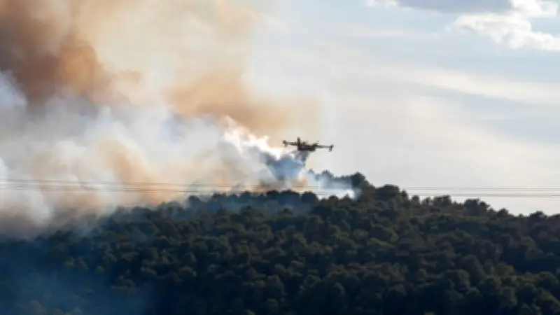 Hérault : trois massifs forestiers en alerte rouge incendie ce vendredi