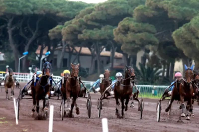 Huit courses hippiques pour lancer les estivales à l'hippodrome de Hyères