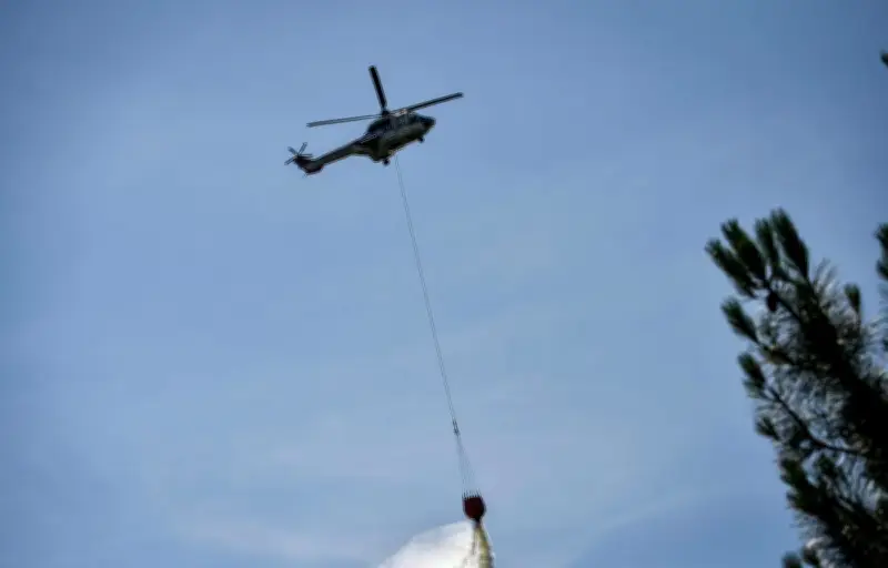 Incendie dans les Pyrénées-Orientales : 750 touristes évacués de trois campings