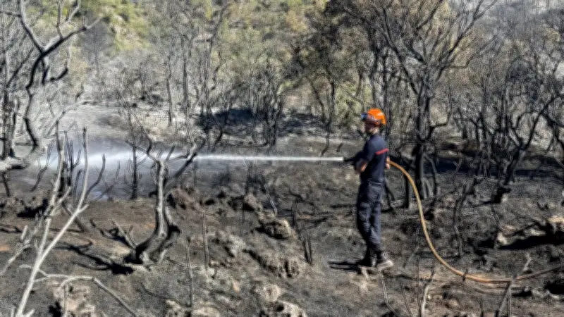 Incendie dans l'Hérault : 271 hectares brûlés, la maire raconte sa peur