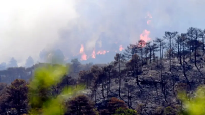 Incendie dans l'Hérault : 350 pompiers luttent avant le renforcement du vent