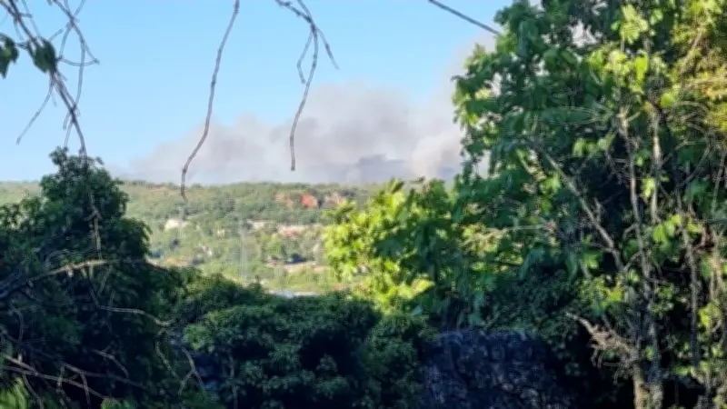 Incendie dans l'Hérault : cent pompiers mobilisés, 10 hectares brûlés