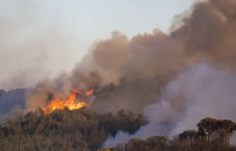 Incendie en Espagne : 2 200 hectares brûlés en Catalogne