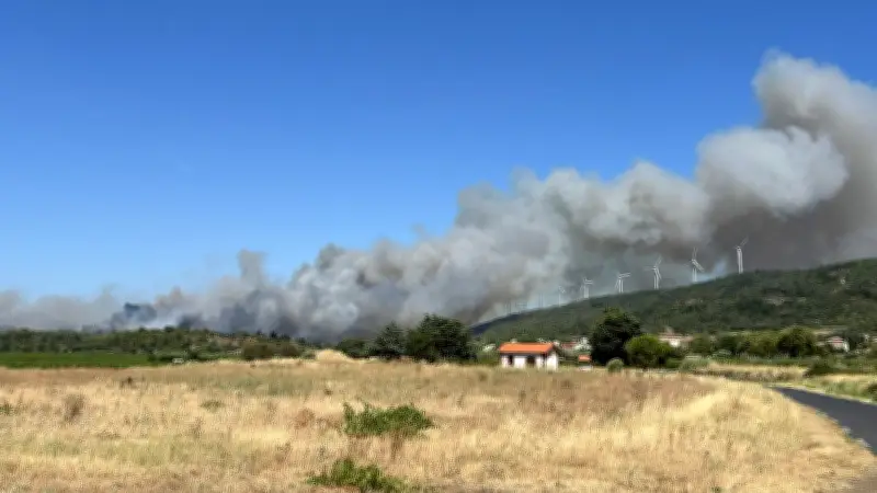 Incendie à Oupia : 150 pompiers et 4 Canadair mobilisés