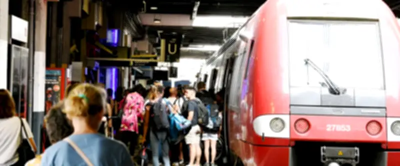 Incendie près des voies ferrées : trains supprimés, jusqu'à 3h de retard