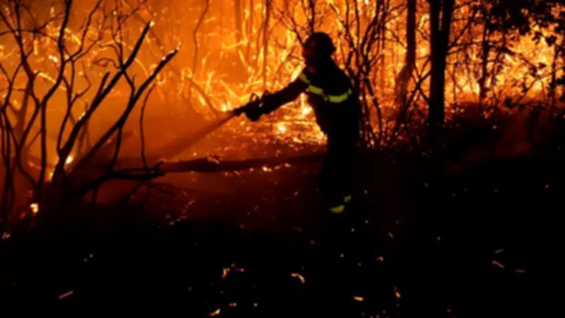 Incendie à Pujaut : six hectares brûlés, feu maîtrisé sans blessé