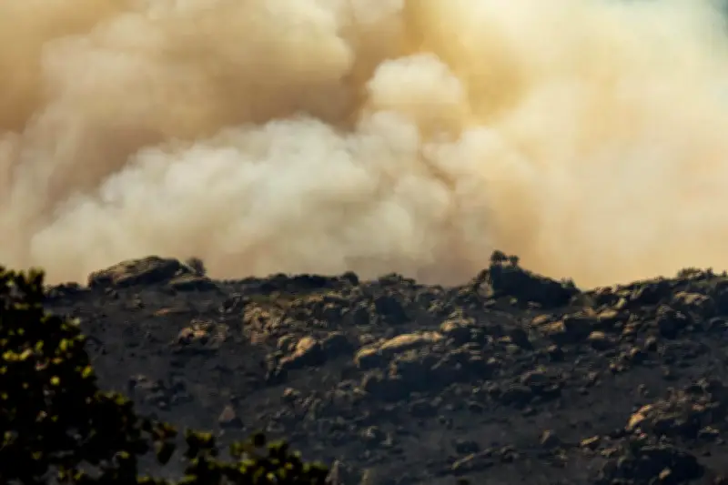 Incendie Pyrénées-Orientales : 4600 hectares brûlés, 10000 évacués