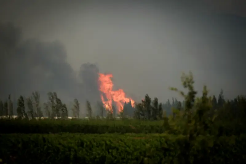 Incendie Pyrénées-Orientales : le récit des habitants évacués
