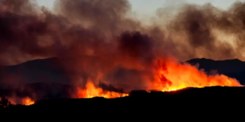 Incendies : 10 000 évacués dans les Pyrénées-Orientales, feu fixé dans le Gard