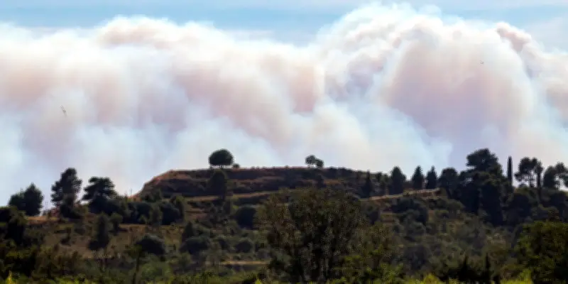 Incendies dans l'Aude et le Var : 2 200 évacuations à Fréjus