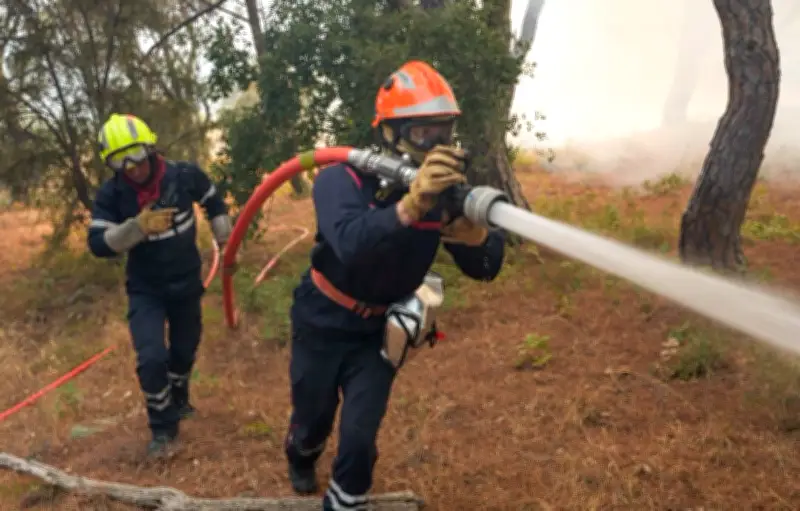 Incendies dans le Sud : 27 feux traités, 2 toujours actifs