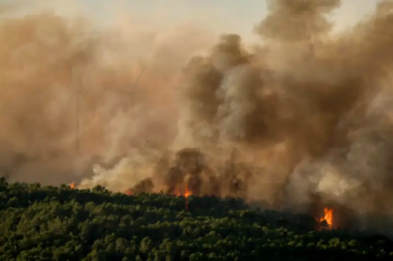 Incendies dans le Sud : 850 hectares brûlés, 3000 évacuations