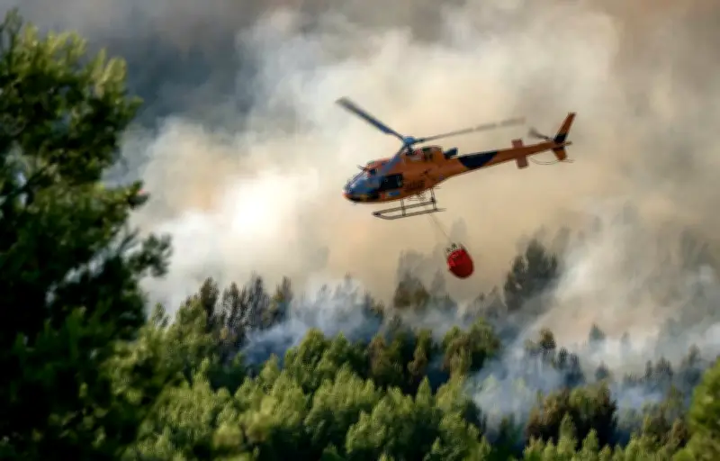 Incendies dans le sud de la France : 900 hectares brûlés, 3000 évacués