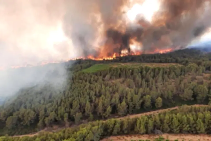 Incendies dans le Sud : feux fixés à Marseille, 900 hectares brûlés dans l'Aude et l'Hérault
