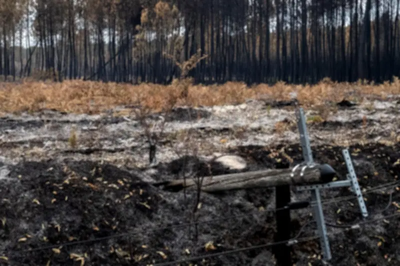 Incendies dans le sud : la France mieux armée quatre ans après 2022 ?