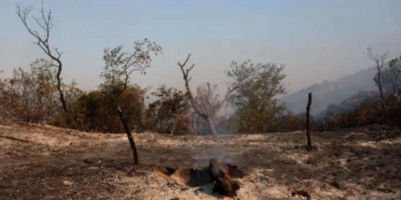 Incendies dans les Pyrénées-Orientales : 4 600 ha brûlés, 7 départements en risque très élevé