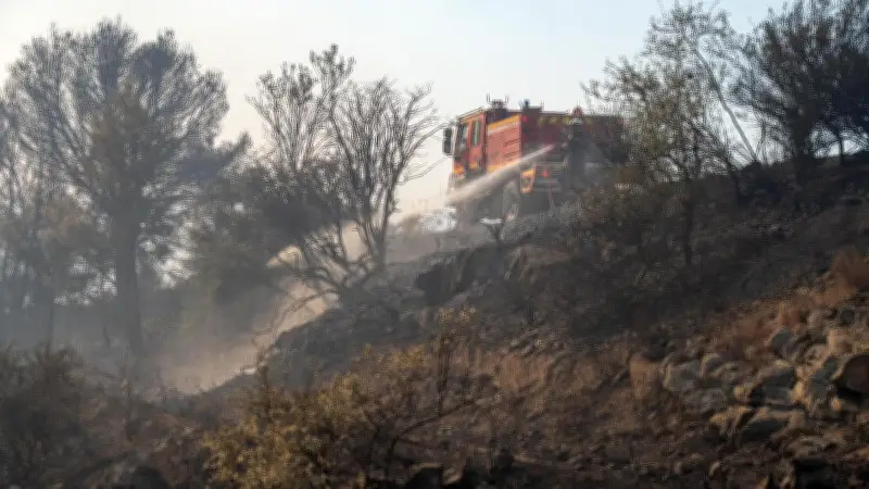Incendies en Occitanie : un jeudi noir de l'Hérault aux Pyrénées-Orientales