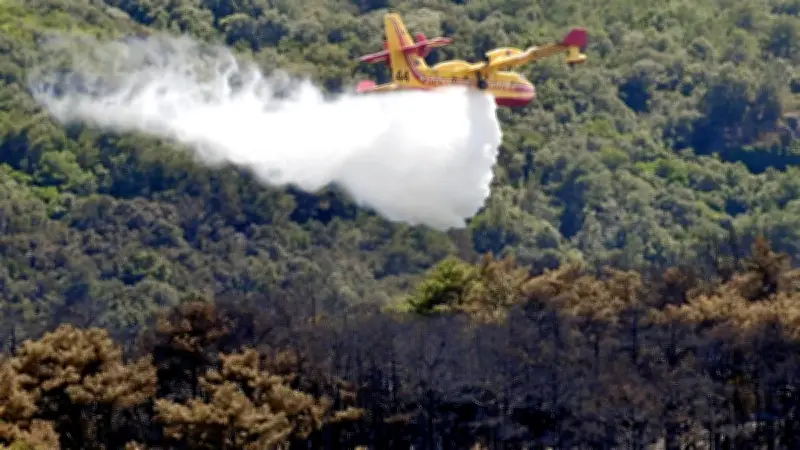 Incendies : le 8 juillet 2026, journée la plus à risque dans le sud de la France