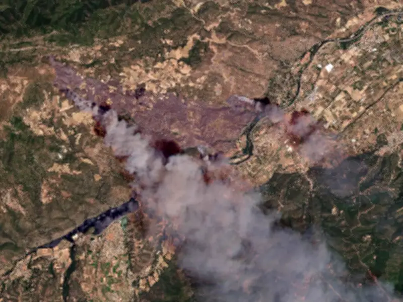 Incendies : les fausses informations se multiplient sur les réseaux sociaux