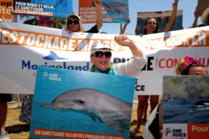 Manifestations contre la captivité des orques et dauphins à Marineland