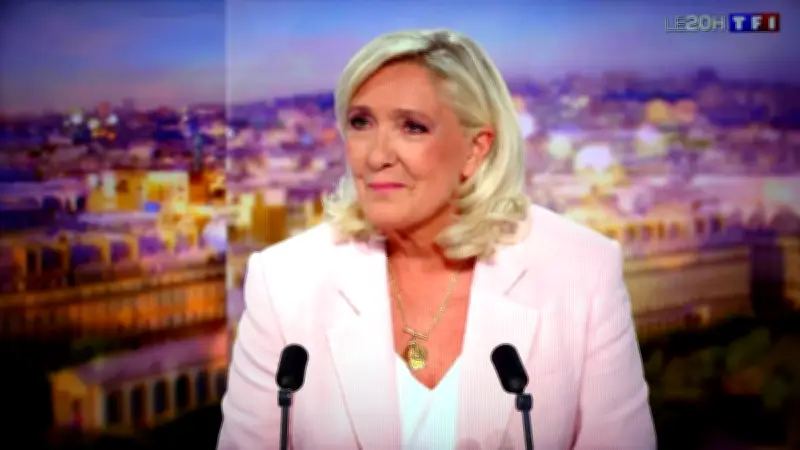Marine Le Pen se pourvoit en cassation et annonce sa candidature à la présidentielle