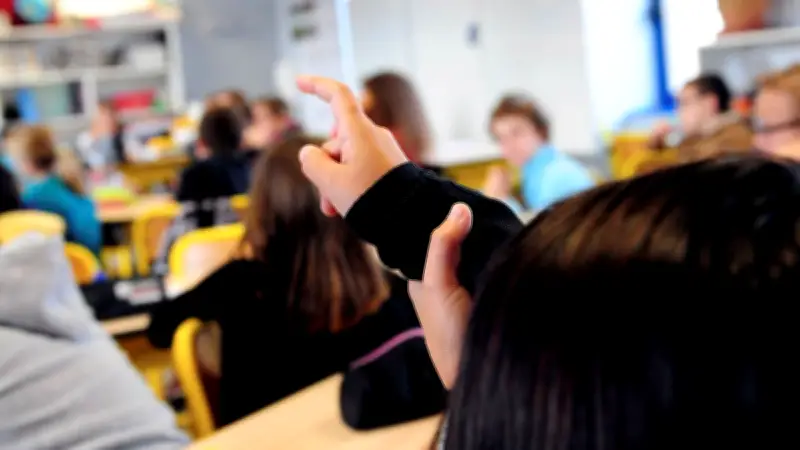 Millau : les écoles s'adaptent aux fortes chaleurs avec des travaux de végétalisation