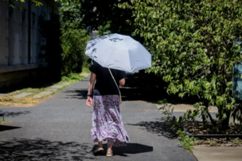 Nouvelle canicule ce week-end : jusqu'à 40°C dans le Sud-Est