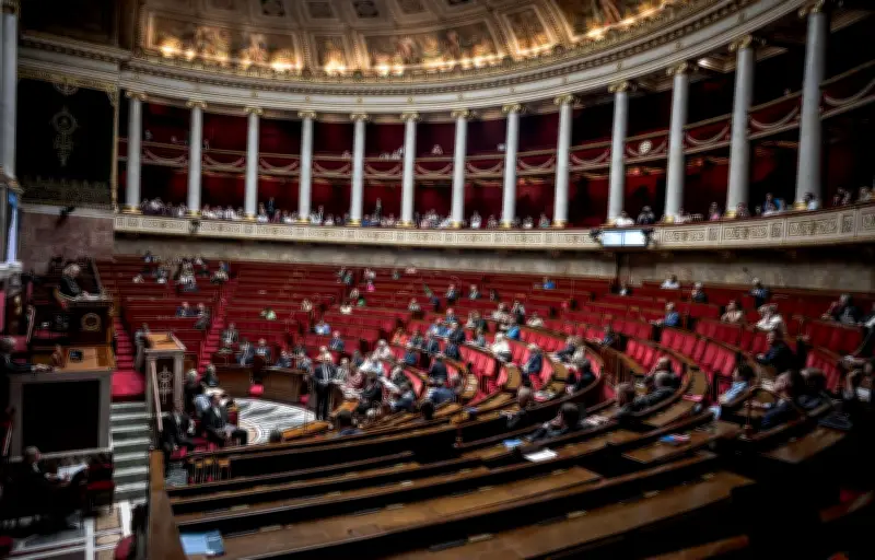 Nouvelle loi de programmation militaire : recours des députés de gauche devant le Conseil constitutionnel