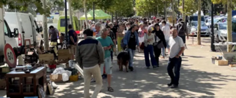 Panique à Clermont-l'Hérault : homme avec arme interpellé à la brocante