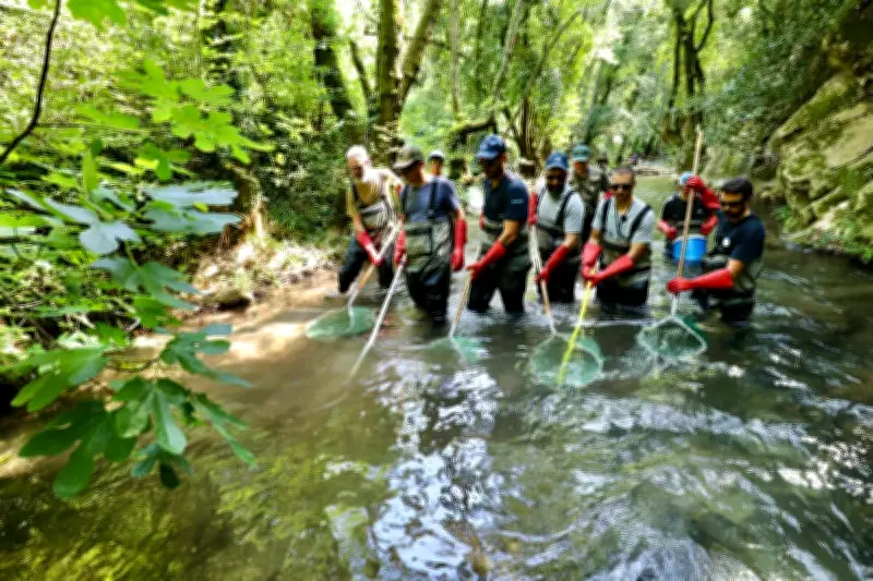 Pêche inventaire dans le Var : les truites résistent malgré la canicule