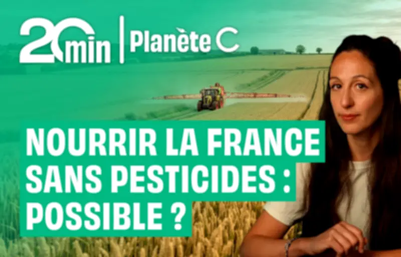 Peut-on nourrir la France sans pesticides ? Des scientifiques répondent