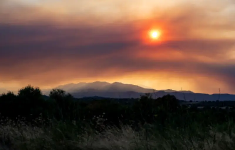 Plus de 90 scientifiques réclament une loi d'urgence climatique