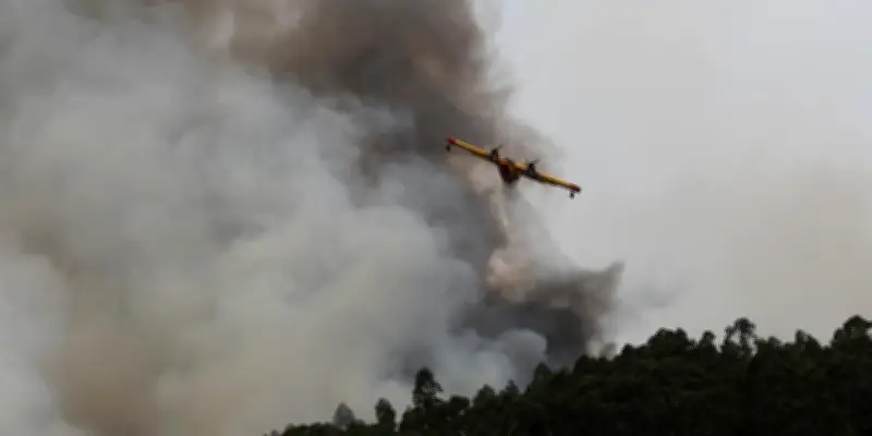 Portugal : un millier de pompiers luttent encore contre un incendie de forêt