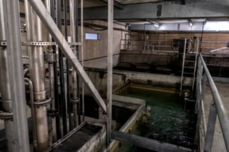 Résidus médicamenteux dans les eaux : le poisson oublié