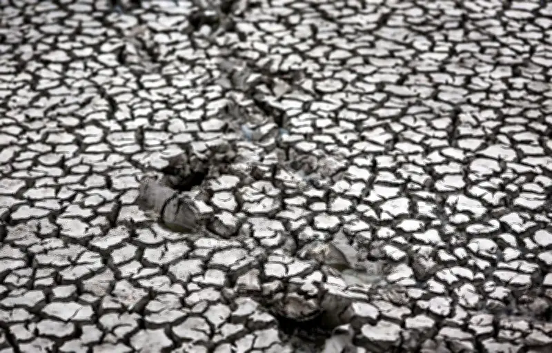 Sécheresse record : les sols français à leur niveau le plus sec depuis 1959