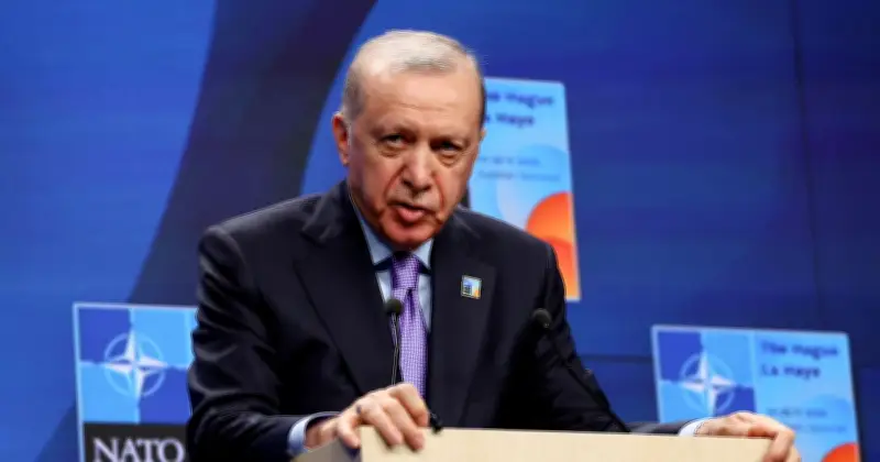 Sommet de l'Otan en Turquie : Erdogan triomphe malgré les critiques