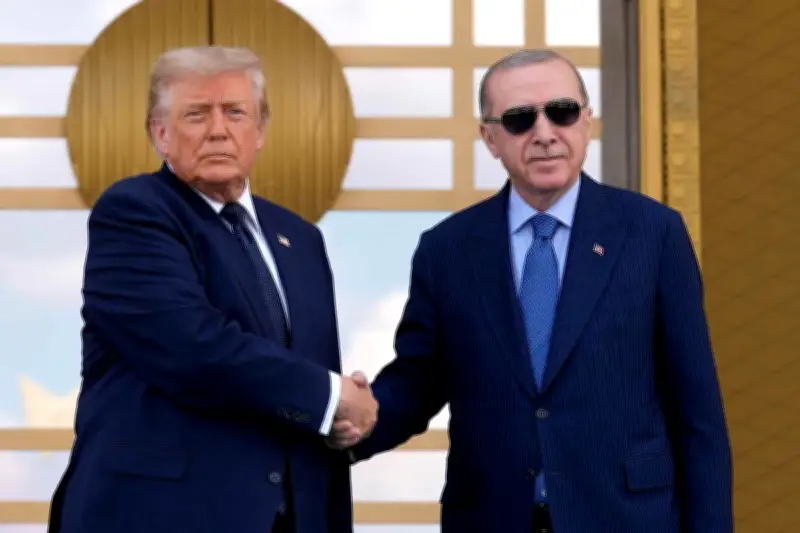 Sommet Otan à Ankara : Erdogan veut sortir gagnant face à Trump