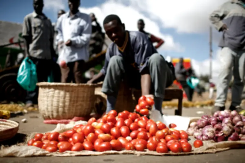 Souveraineté alimentaire : l'Afrique doit agir vite