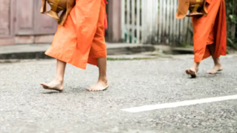 Thaïlande : un enfant au volant tue huit moines bouddhistes