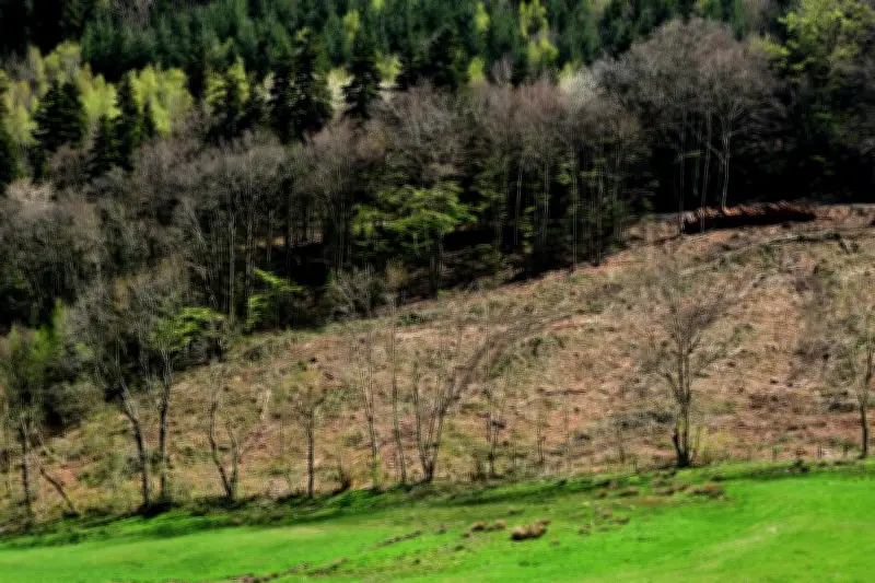 Vague de reculs environnementaux dans l'UE depuis 2020