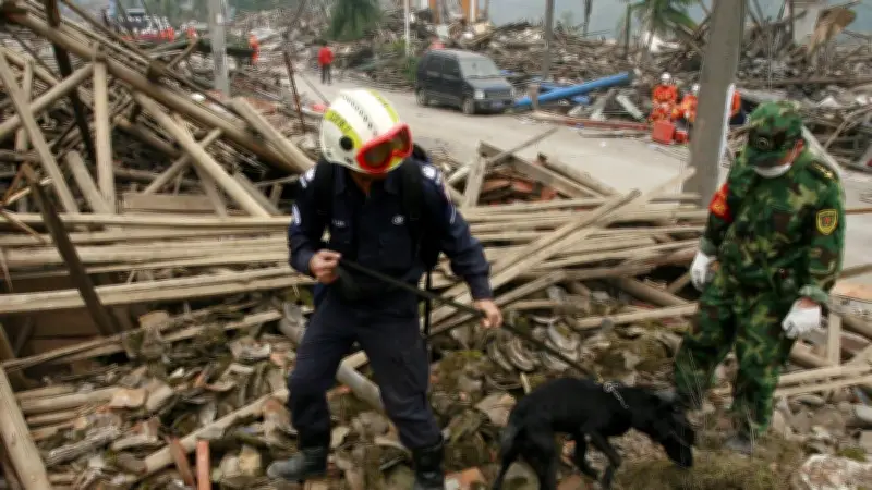 Venezuela : 120 chiens sauveteurs risquent leur vie dans les ruines