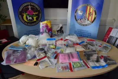 10 kg de kétamine dans des croquettes pour chiens : deux dealers en détention