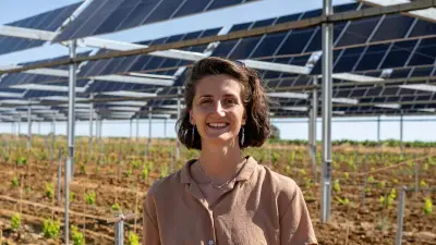 Agrivoltaïsme dynamique : -41% d'eau et -4°C pour les vignes de Servian