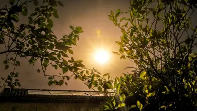 Canicule : Béziers à 35,7 °C, Montpellier 34 °C, le Languedoc suffoque