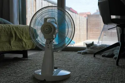 Canicule : Solenn a tout anticipé mais son compagnon « imbuvable »