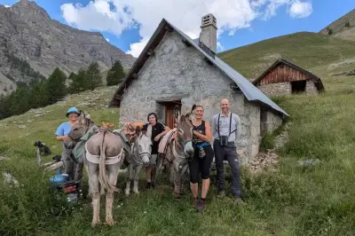Des ânes remplacent l'hélicoptère pour protéger un nid de gypaètes dans le Mercantour