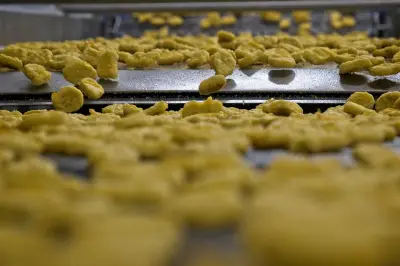 Du poulet de la poule au pot au nugget : une histoire fascinante