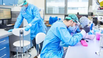 Fin de l'épidémie de hantavirus sur le MV Hondius : 3 morts, 650 cas contacts