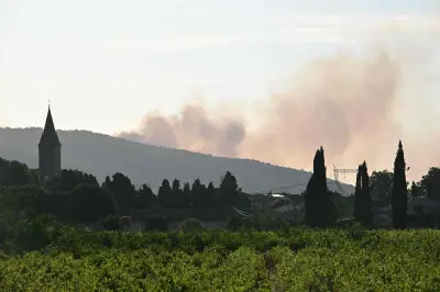 Hérault : un homme en garde à vue pour neuf départs de feu suspects