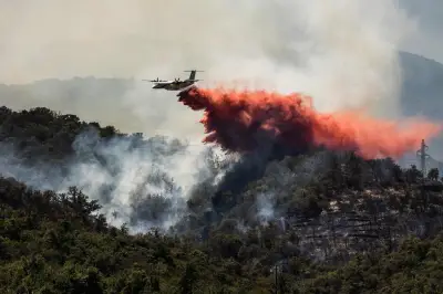 Incendies en France : l'Europe envoie des renforts aériens